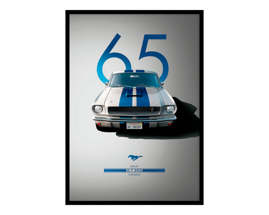 Shelby GT350 65 Poster